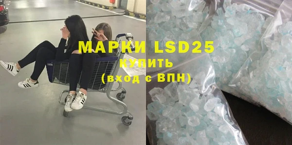 прущие грибы Абинск