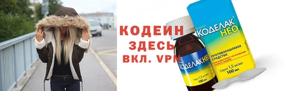 прущие грибы Абинск
